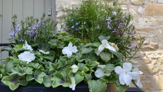Priory Tearooms Burford with Rooms - Burford - 8