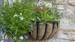 Priory Tearooms Burford with Rooms - Burford - 6
