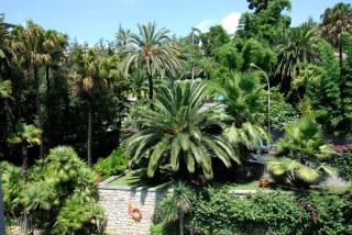 affascinante bilocale con piscina - Bordighera - 1