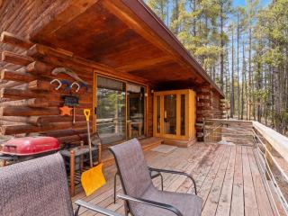 Lake Flora Cabin - Leadville - 7