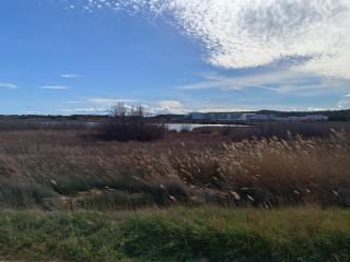 Pavillon 5 personnes - 7