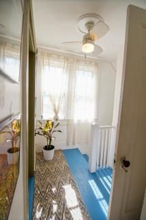 Healthy Greenery - Urban Retreat in Rock Hill - Rock Hill - 3