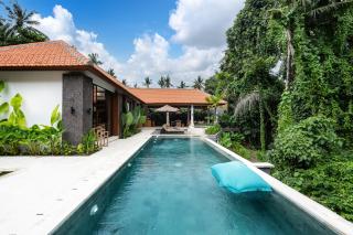 Villa Le Lotus Bleu by BaliSuperHost - Ubud - 9