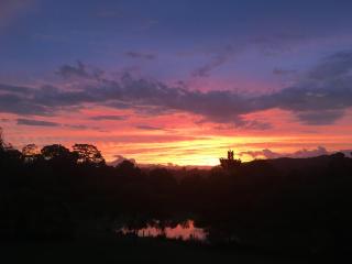 Dulguigan Downs Farm House - 8