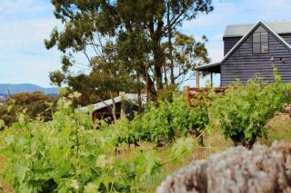 4 Bedroom Holiday House in Winery - Moonambel - 6