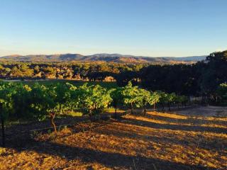 4 Bedroom Holiday House in Winery - Moonambel - 4