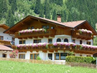 Haus Stern - Neustift im Stubaital - 5
