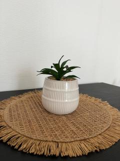 Studio le Cerisier - 5