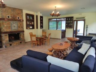 ECO VILLA OLYMPUS with sauna and swimming pool - 1