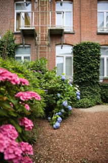 Alfa Inn - Blankenberge - 8