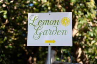 Lemon Garden Camper - Chania - 2