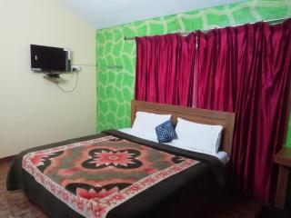 Sunstar cottage - Ooty - 3