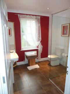 Glangwili Mansion - Luxury 5 star Bed & Breakfast - Carmarthen - 4