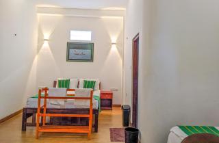 Yala Golden Wild - 2