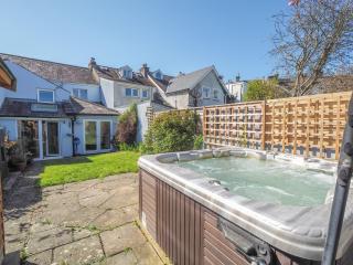 Glenydd New Quay - New Quay - 0