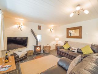 Blaenfforest Granary Newcastle Emlyn - Capel-Ifan - 9