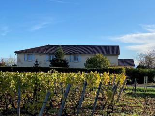 Domaine de la Noiseraie - Belleville-sur-Saône - 5