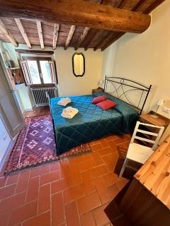 Agriturismo Tassinaia - Pontassieve - 1