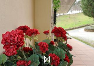 MyStay - Casa Pereira Soeima - Alfândega da Fé - 5