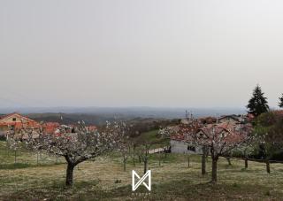 MyStay - Casa Pereira Soeima - Alfândega da Fé - 7