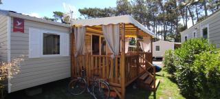Franck's tiny house Les Viviers - Lège-Cap-Ferret - 9