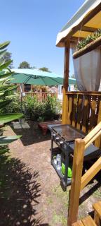 Franck's tiny house Les Viviers - Lège-Cap-Ferret - 8