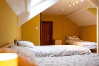 Kenvor Newport, Pembrokeshire - Dinas - 1