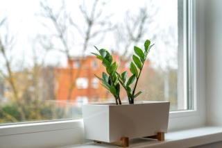 Apartment Sole - 5