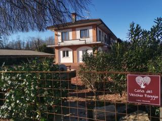 CAV Casa del vecchio faggio - 4 stelle - Nebbiuno Lago Maggiore - Nebbiuno - 0