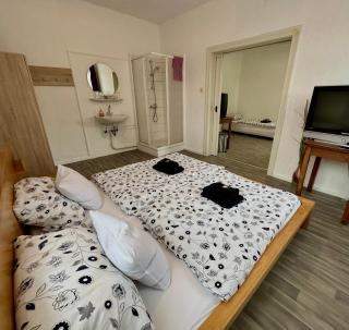 Pension Zum Burggrafen - Delmenhorst - 5