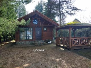 Domki nad Jeziorem Ołów - Ryn - 5