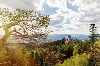 Penzion Pod Ždánovem - Nezdice - 8
