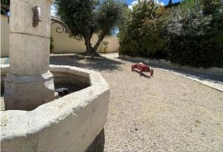 Gite en provence - Saze - 7