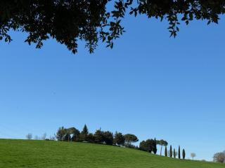 Orvieto Country House - Castiglione in Teverina - 7