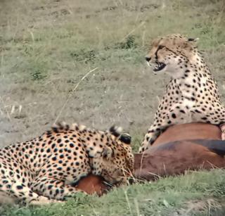 Luluka Guest House - 6