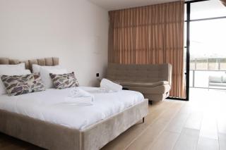 Royal Suites Dalia - וילה עם 4 סוויטות מהממות, בריכה מחוממת וג'קוזי - Dāliyat el Karmil - 1