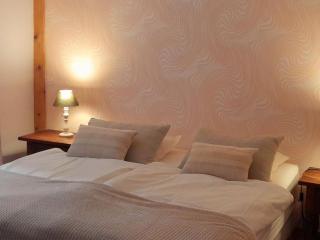Stunning Apartment in heart of Dambach La Ville - Dambach-la-Ville - 6
