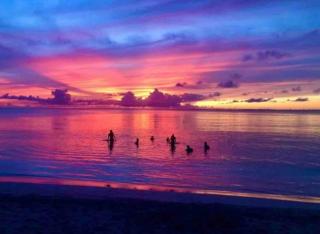 logement insolite sous les tropiques - Grand Case - 0
