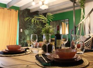MAISON "Jungle House" 90 m2 BILLARD, RÉTROPROJECTEUR, BAR À JEUX , VINYLE, WIFI FIBRE, idéal PRO & FAMILLE à Montbrison - 4