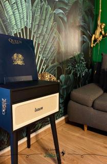 MAISON "Jungle House" 90 m2 BILLARD, RÉTROPROJECTEUR, BAR À JEUX , VINYLE, WIFI FIBRE, idéal PRO & FAMILLE à Montbrison - 2