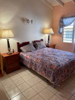 Mountain view Apartment - Basseterre - 8