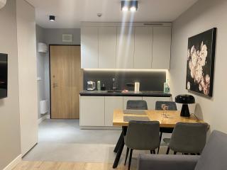 Wiktoryn 6 piękne nowe apartamenty z dużymi balkonami - Warsaw - 5