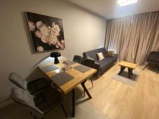 Wiktoryn 6 piękne nowe apartamenty z dużymi balkonami - Warsaw - 4