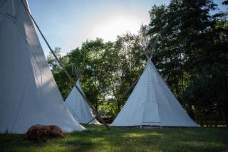 Außerhalb2 - Übernachten im Tipi - Weisel - 0