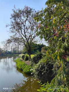 Sansai Lakeville - Ban Thung Khao Tok - 8
