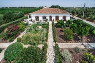 Casa da Terra Branca - Vila Nova de Cacela - 4