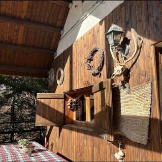 Rifugio del volpacchiotto - Piano Battaglia - Petralia Sottana - 5