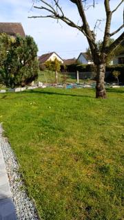 Gîte paisible - - 2