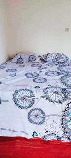 Petit Hollande guest rooms - Abene - 5
