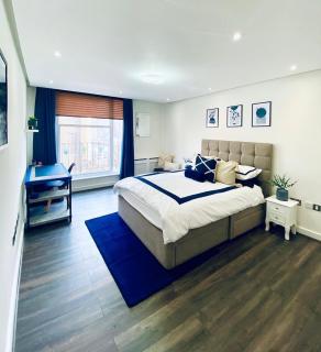 Private Marylebone Apartment - Sleeps 6 - London - 2